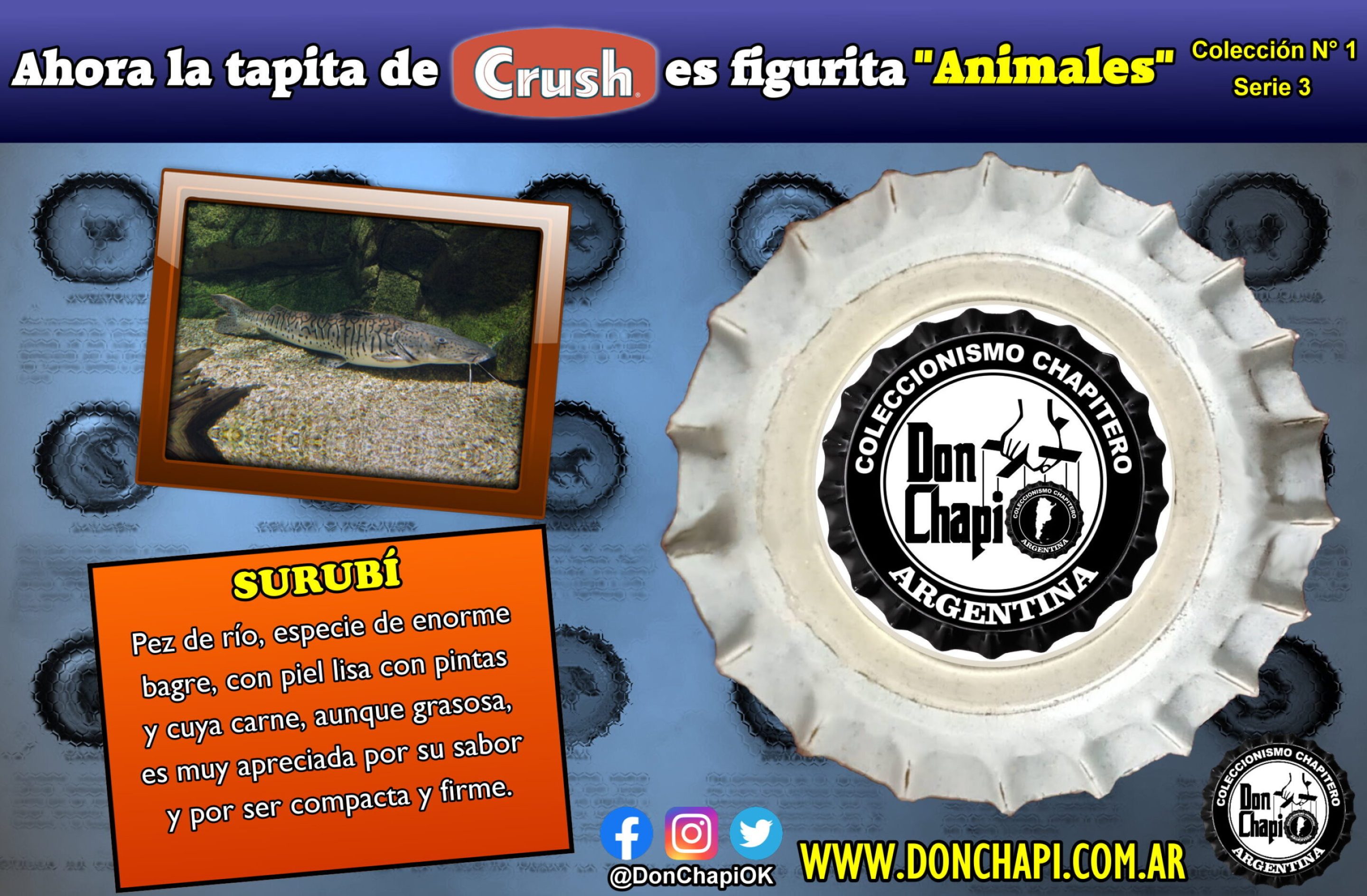 Animales3_01-SURUBI